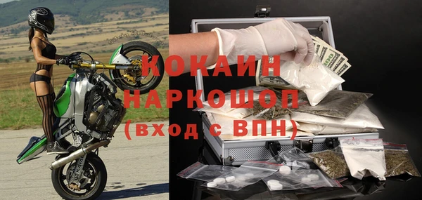 гашик Арсеньев