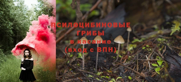 тгк Аркадак