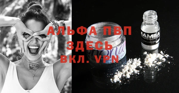гашик Арсеньев