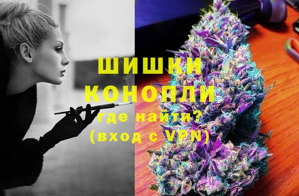 гашик Арсеньев