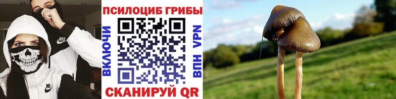 даркнет официальный сайт  Арсеньев  Псилоцибиновые грибы MAGIC MUSHROOMS  что такое наркотик 
